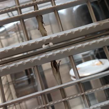 Bulaşık Makinesinde Paslanma Ve Plastik Kaplama Sorunu Sağlık Riski Yaratıyor