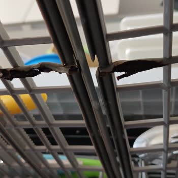 Bulaşık Makinesinde Paslanma Ve Plastik Kaplama Sorunu Sağlık Riski Yaratıyor