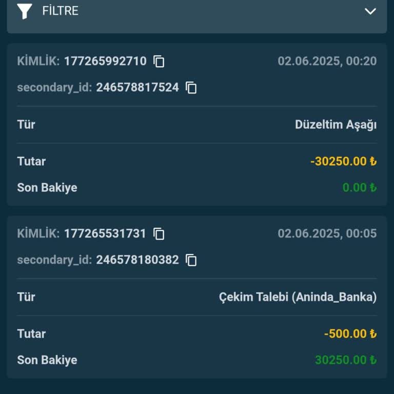 Kazancım Sıfırlandı Ve Destek Yanıt Vermedi