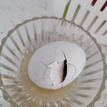 BİM’den Alınan Yumurtalar Bozuk Çıktı, Sağlığımız Tehlikede!