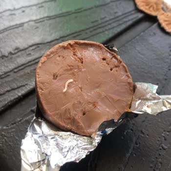 Bayramda Satın Alınan Çikolatadan Yabancı Madde Çıkması Şikayeti