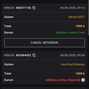 Vaycasino Çekim İşlemlerinde Sürekli İptal Ve Gecikme Sorunu