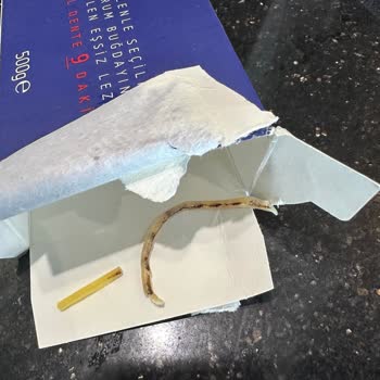 Barilla Gıda Ürününde Hijyen Ve Kontrol Sorunu Yaşadım