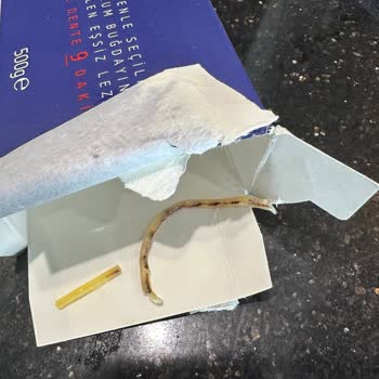 Barilla Gıda Ürününde Hijyen Ve Kontrol Sorunu Yaşadım