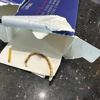 Barilla Gıda Ürününde Hijyen Ve Kontrol Sorunu Yaşadım