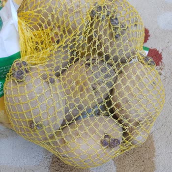 A101 Yanımda Uygulamasından Gelen Bozuk Ve Kalitesiz Ürünler