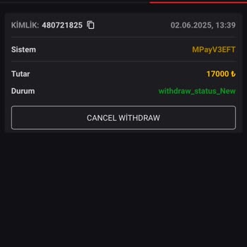 Vaycasino Ödeme Talebim Karşılanmadı, Hesabım Sıfırlandı