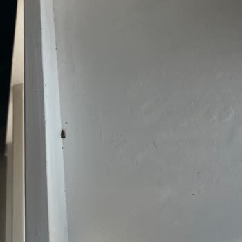 Beklentileri Karşılamayan Konaklama Ve Destek Eksikliği