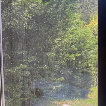 Beklentileri Karşılamayan Konaklama Ve Destek Eksikliği