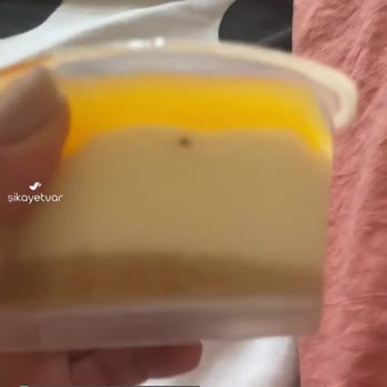 Coquette Pasta Atölyesi Sinek Var Şaka Mı :) )