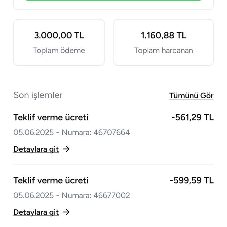 Para Yükledim, Teklif Veremiyorum Ve Sürekli Hata Alıyorum