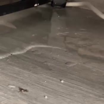 Vestel Klima Su Sızıntısı Nedeniyle Evde Zarar Ve Servis Ücreti Sorunu