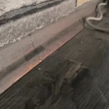 Vestel Klima Su Sızıntısı Nedeniyle Evde Zarar Ve Servis Ücreti Sorunu