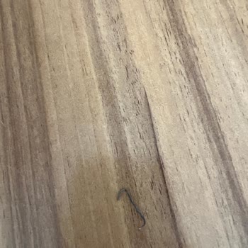 Köfteci Yusuf Kıymasında Zımba Teli Çıktı Diş Etim Zarar Gördü