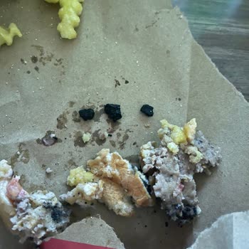 Hamburgerin İçinden Taş Çıkması Nedeniyle Dişim Kırılıyordu!