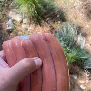 Üründe Kıl Ve Tüy Çıkması Markaya Güvenimi Bitirdi