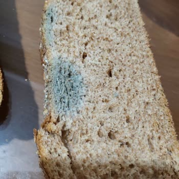 Küflü Ve Eksik Ürün Teslimatı Müşteri Memnuniyetini Zedeliyor