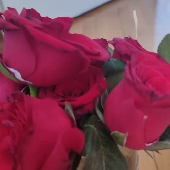 Çiçek Sepeti'nden Gelen Soluk Güller Ve İlgisiz Müşteri Hizmetleri Mağduriyeti