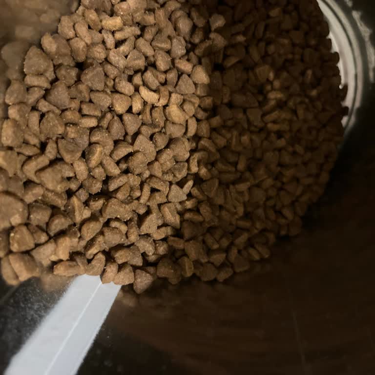 Kedilerimde Hills Mamadan Sonra İshal Ve Kusma Başladı