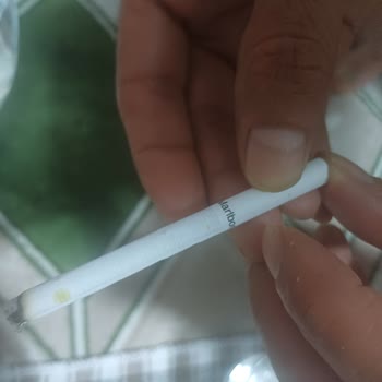 Marlboro Touch Blue Paketlerinde Küflü Sigara Sorunu