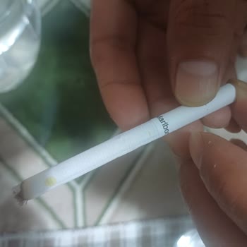 Marlboro Touch Blue Paketlerinde Küflü Sigara Sorunu