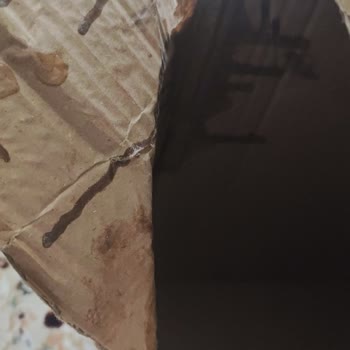 Aldığım Şampuanlar Hasarlı Ve Eksik Geldi