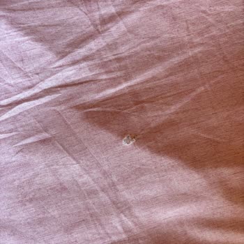 Şile Sahil Kamp'ta Kötü Hijyen Ve Yetersiz Olanaklar