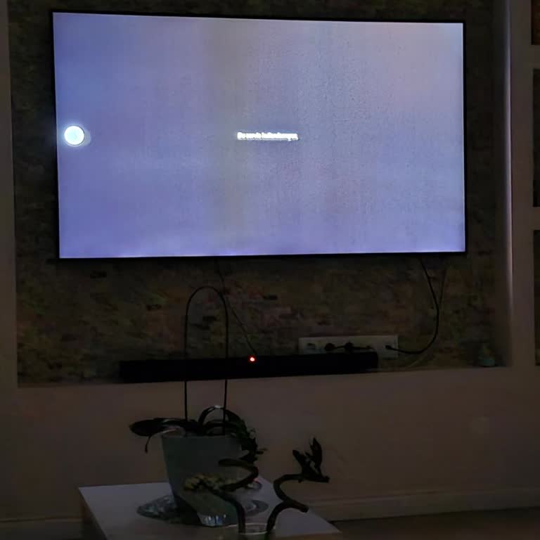 Garanti Biter Bitmez QLED TV'de Sarı Şerit Sorunu