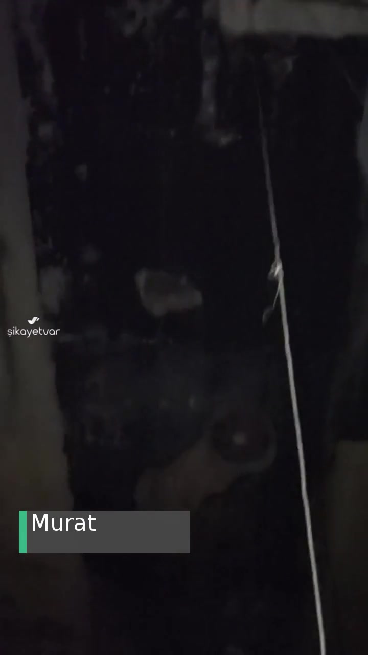 Bayrampaşa Belediyesi Market Havalandırması Gürültüsü videonun kapak resmi