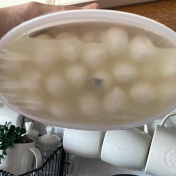 Kapalı Kutuda Küflü Peynirle Karşılaşmak Hayal Kırıklığı Yaşattı