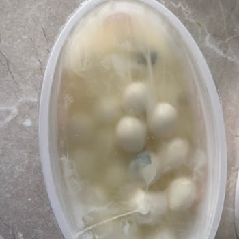 Kapalı Kutuda Küflü Peynirle Karşılaşmak Hayal Kırıklığı Yaşattı