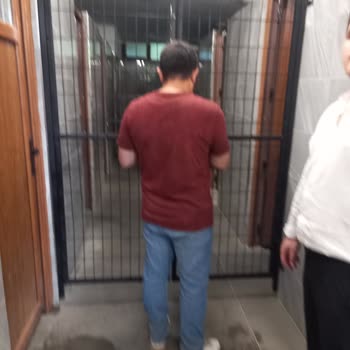 Mesire Alanında Temizlik, WC Kullanımı Ve Ücret Artışı Sorunları