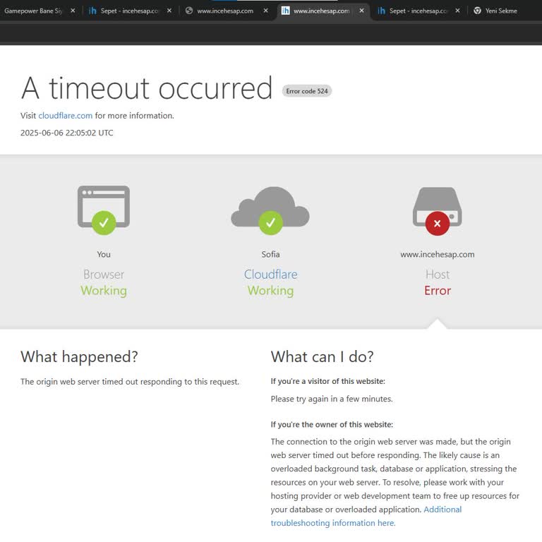 Gece Pazarında Sistem Çökmesi Nedeniyle Ürüne Ulaşamıyorum