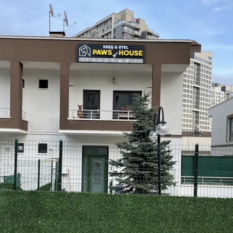 Paws Of House Pet Otel Kreş Memnuniyetsizliği