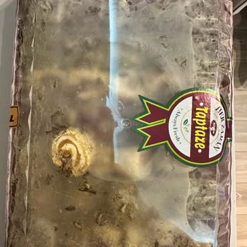 Kapalı Kutudaki Lokumun Bayramda Küflenip Kurtlanması Şok Etti