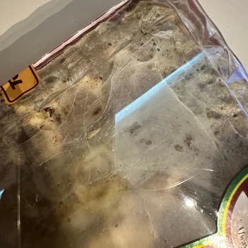 Kapalı Kutudaki Lokumun Bayramda Küflenip Kurtlanması Şok Etti