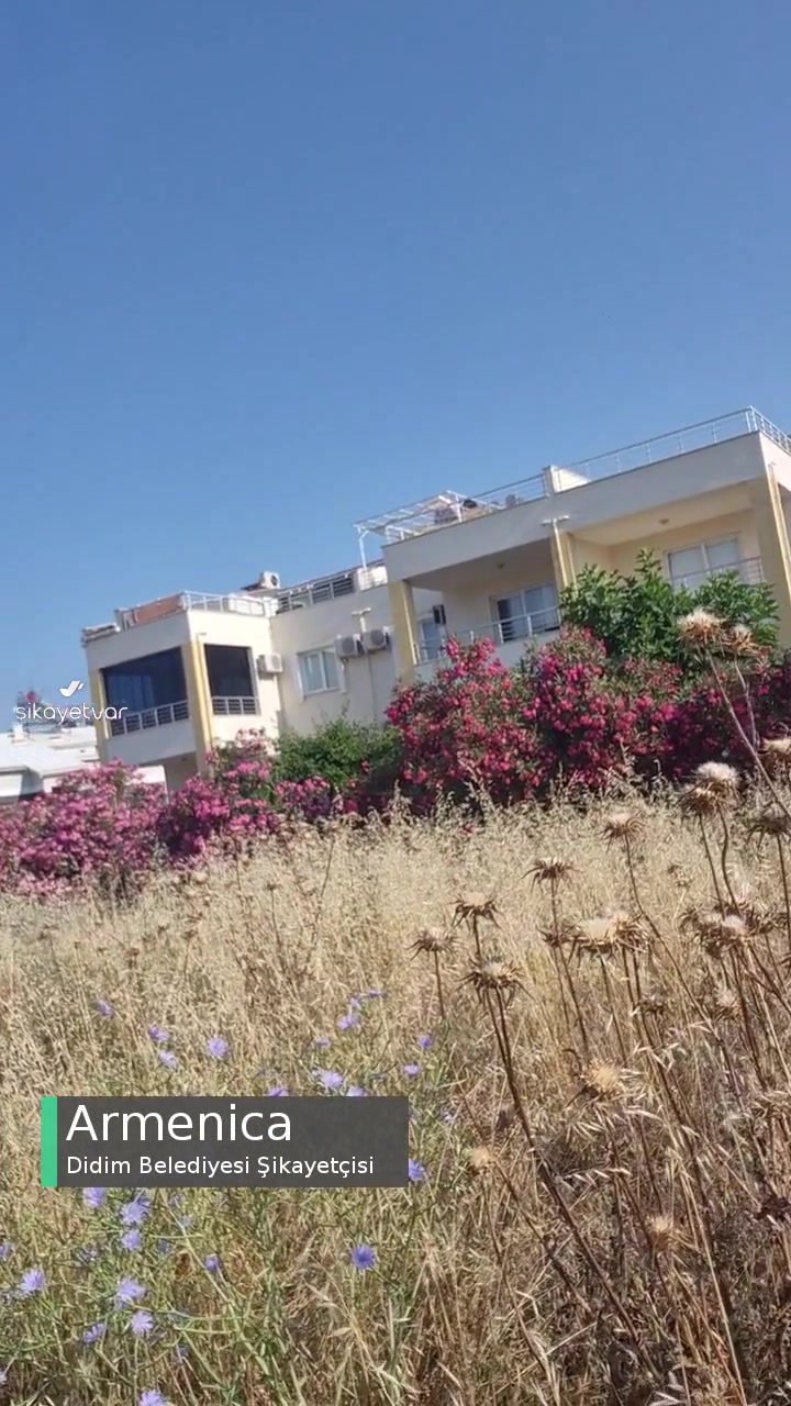 Didim Belediyesi Otları Kesilmesini Talep Ediyoruz! videonun kapak resmi