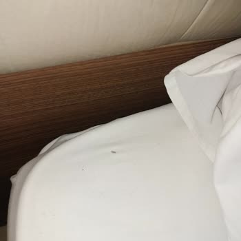 Turda Bilgi Eksikliği Ve Kötü Konaklama Deneyimi