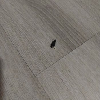 Turda Bilgi Eksikliği Ve Kötü Konaklama Deneyimi