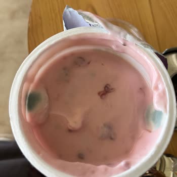 Tarihi Geçmemiş Yoğurttan Küf Çıkması Hayal Kırıklığı Yarattı