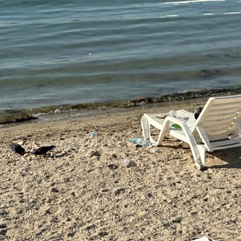 Caddebostan Plajlarında Çöp Sorunu Ve İlgisizlikten Şikayetçiyiz