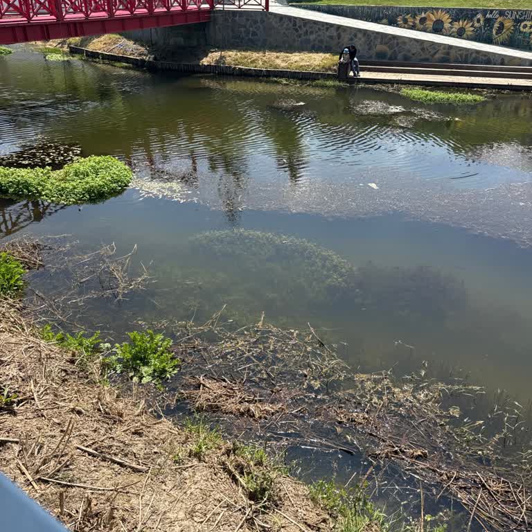 Yüksek Fiyata Vasat Kahvaltı Ve Yer Bulamama Hayal Kırıklığı