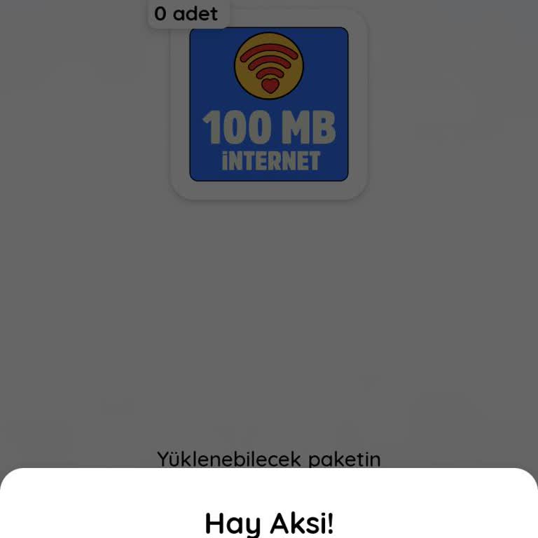100 MB İnternet Hakkım Verilmedi, Çözüm Bekliyorum
