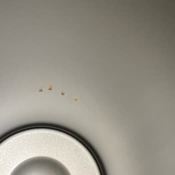 Termoslarda Paslanma Sorunu ve Garanti Süreci Hakkında Şikayet