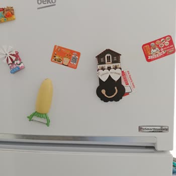 Beko Buzdolabı Kronik Arıza Ve Yedek Parça Sorunu Mağduriyeti