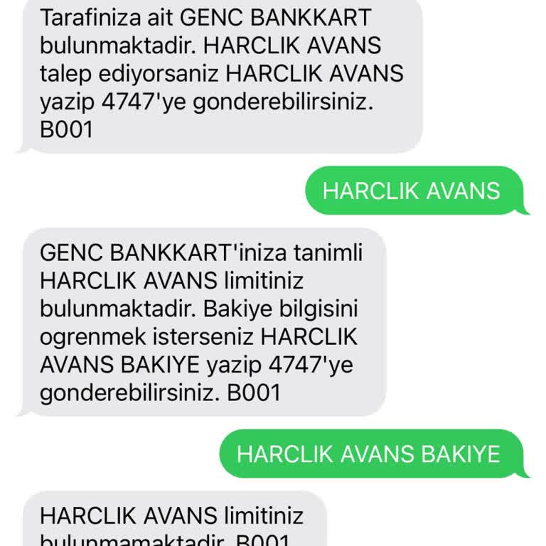 Tanımlı Harçlık Avansım Görünmüyor, Çözüm Bekliyorum