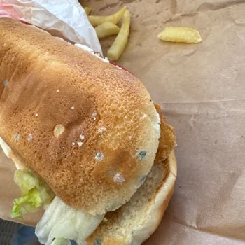 Küflü Ekmek Nedeniyle Hayal Kırıklığı Yaşadım