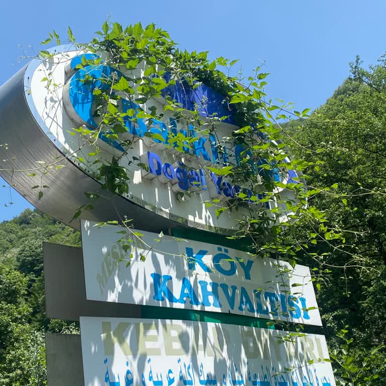 Serviste Hijyen Ve Personel Davranışları Hayal Kırıklığı Yarattı