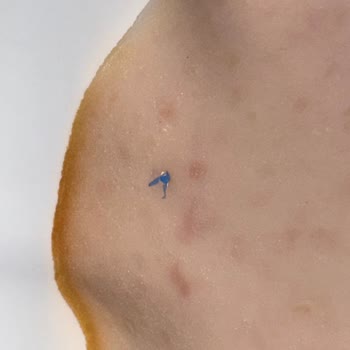 Namet Hindi Füme Ürününde Mavi Plastik Benzeri Yabancı Madde Şikayeti