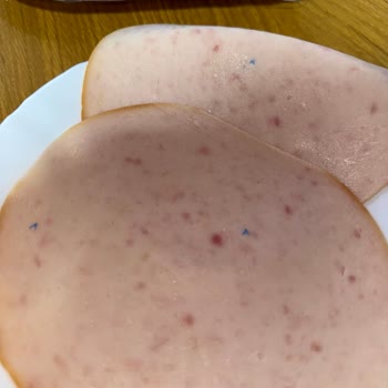 Namet Hindi Füme Ürününde Mavi Plastik Benzeri Yabancı Madde Şikayeti